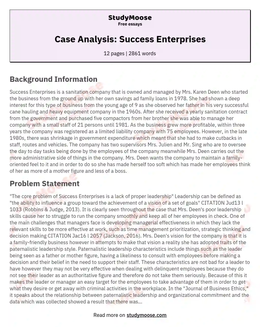 Case Analysis: Success Enterprises essay