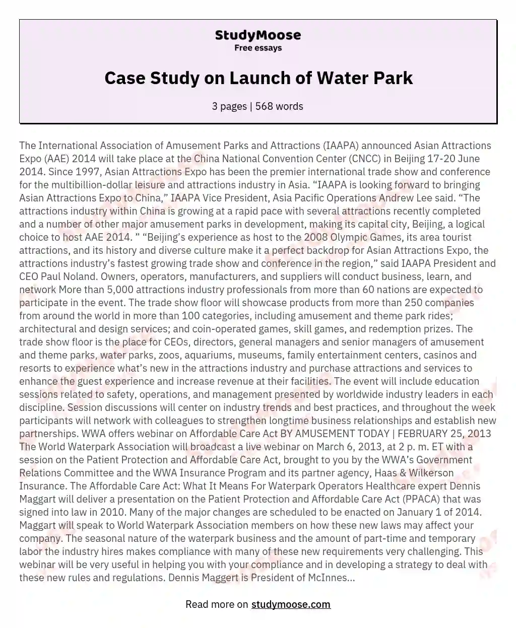 Case Study on Launch of Water Park essay