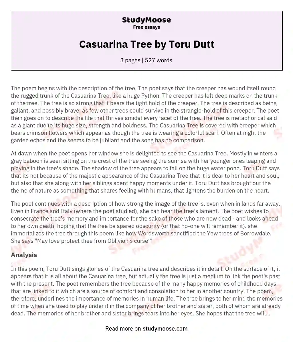 Casuarina Tree by Toru Dutt essay