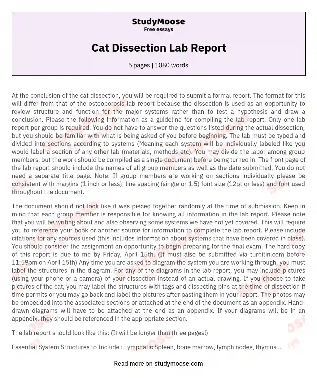 Cat Dissection Lab Report