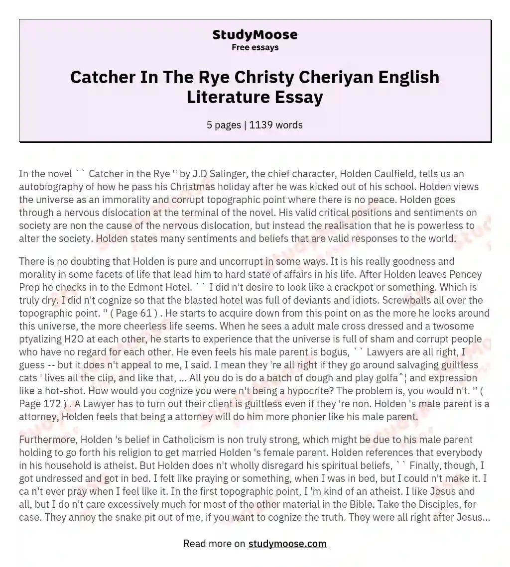Catcher In The Rye Christy Cheriyan English Literature Essay essay