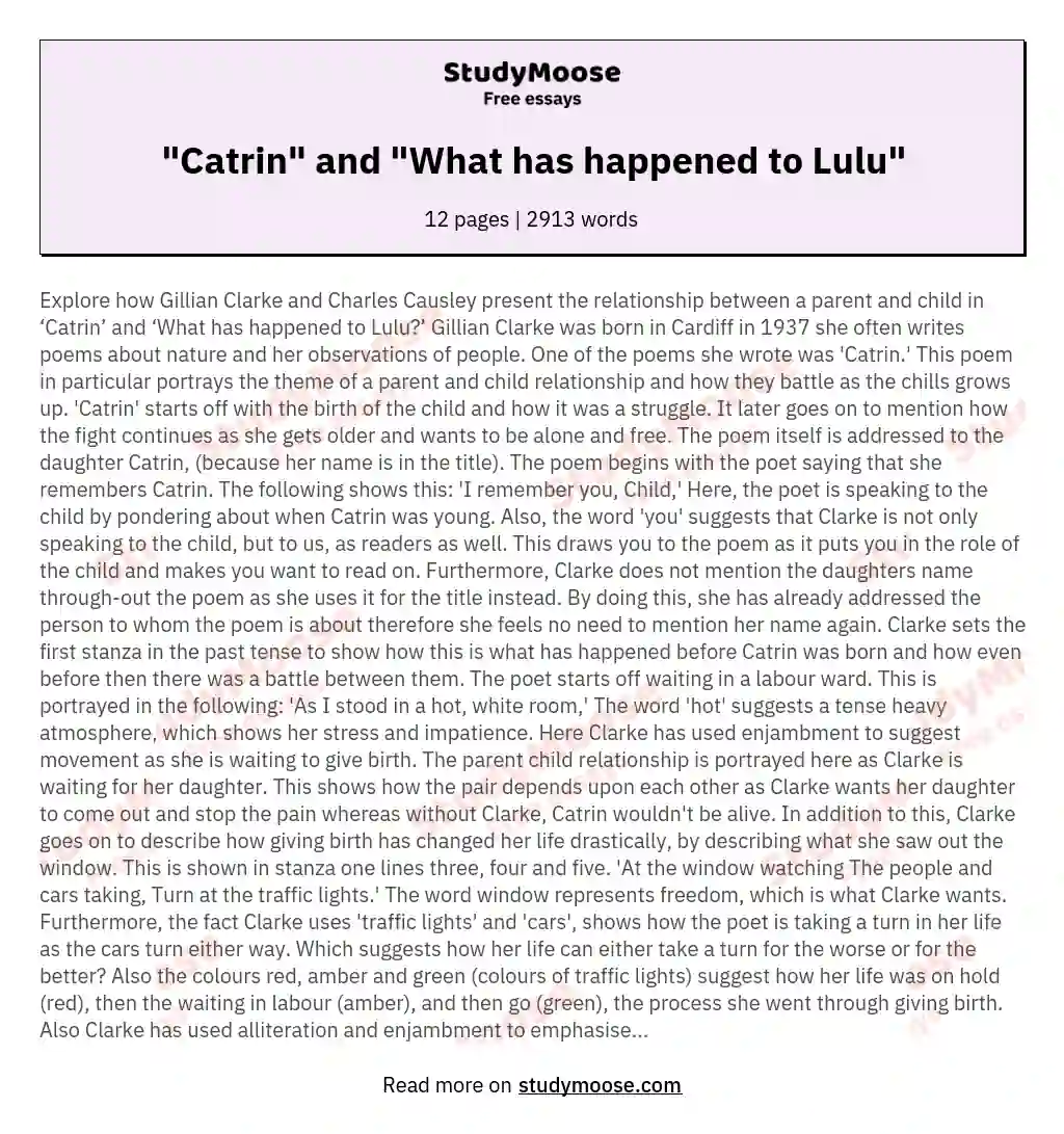 "Catrin" and "What has happened to Lulu" essay