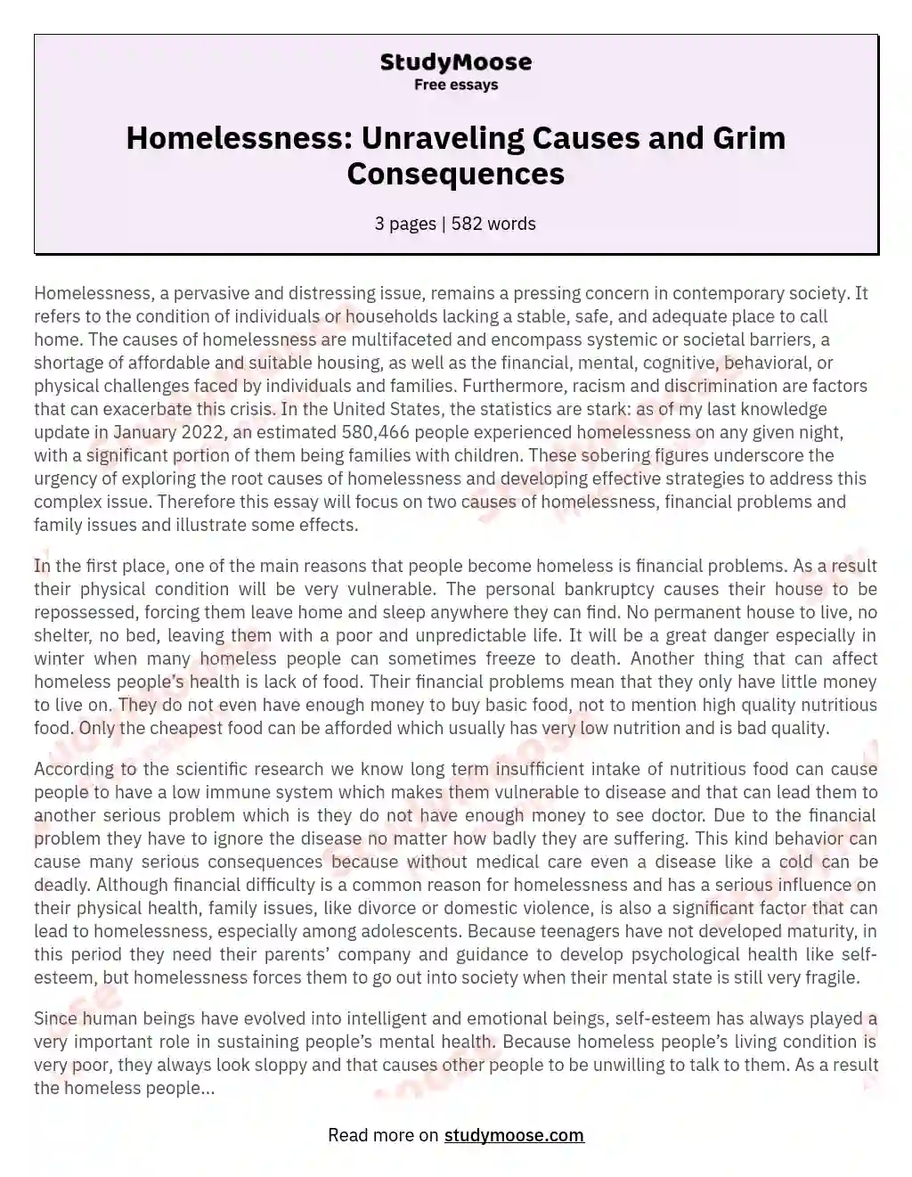 Homelessness: Unraveling Causes and Grim Consequences essay