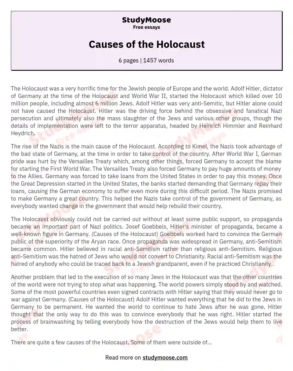 Responsibility for the Holocaust: Beyond Hitler's Actions essay