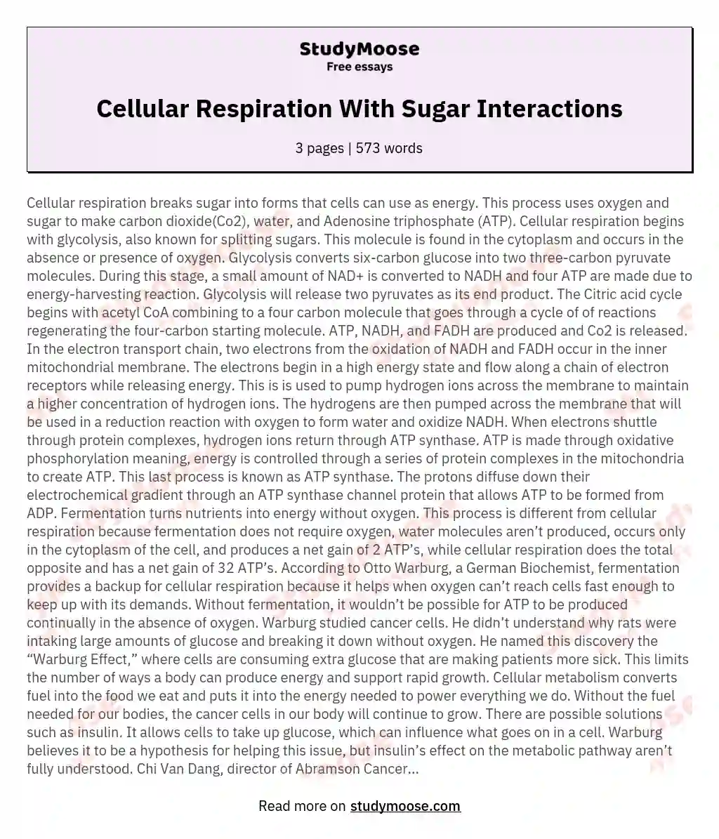 Cellular Respiration With Sugar Interactions essay
