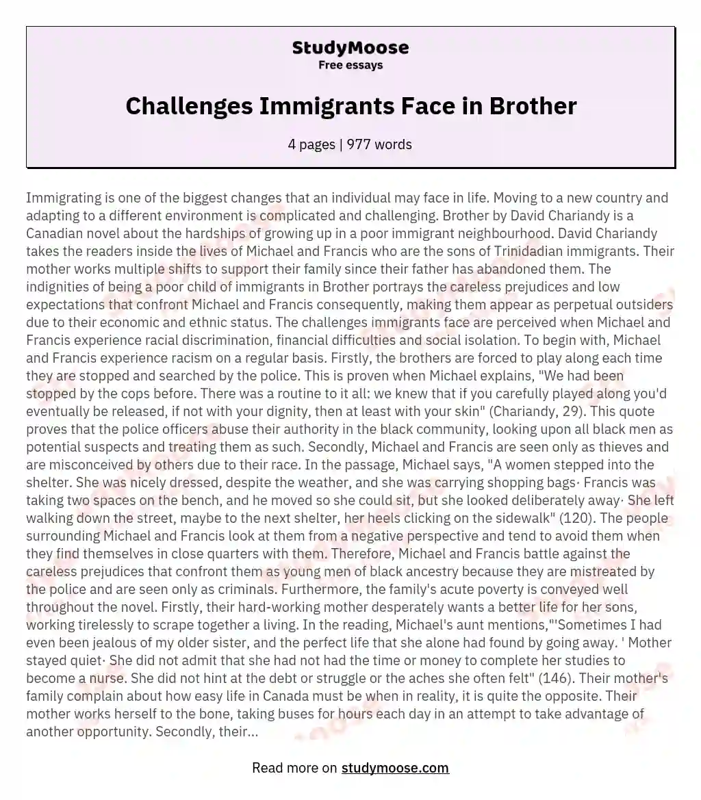 Challenges Immigrants Face in Brother