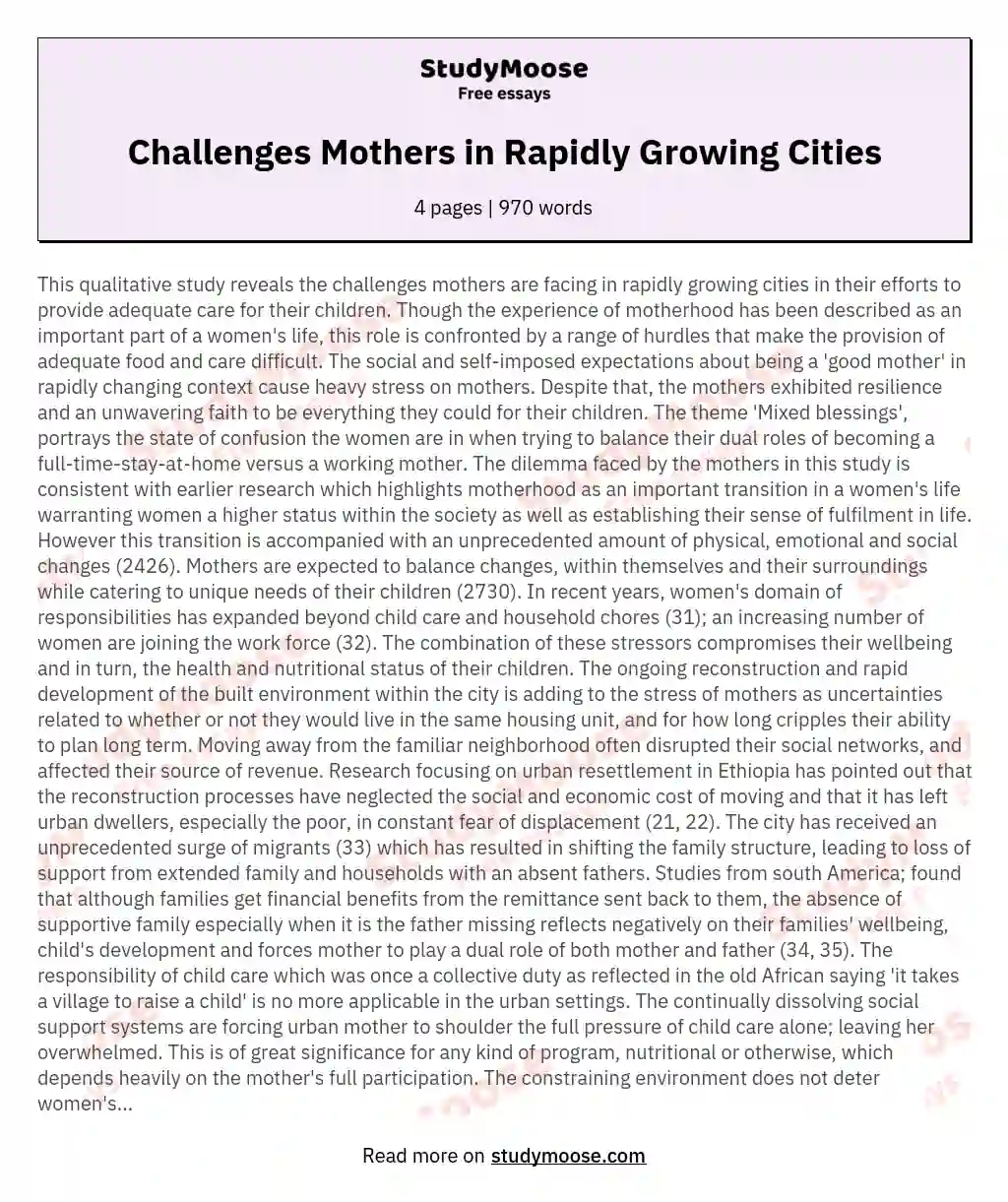 Challenges Mothers in Rapidly Growing Cities essay