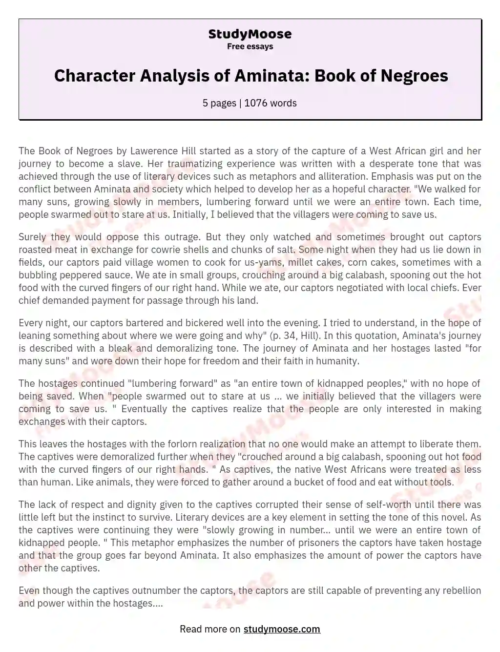 Character Analysis of Aminata: Book of Negroes essay