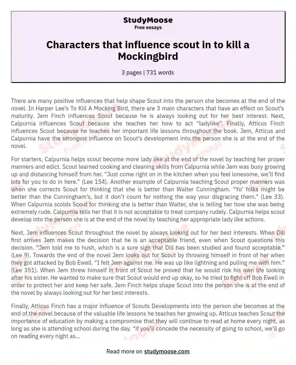 Characters that influence scout in to kill a Mockingbird essay