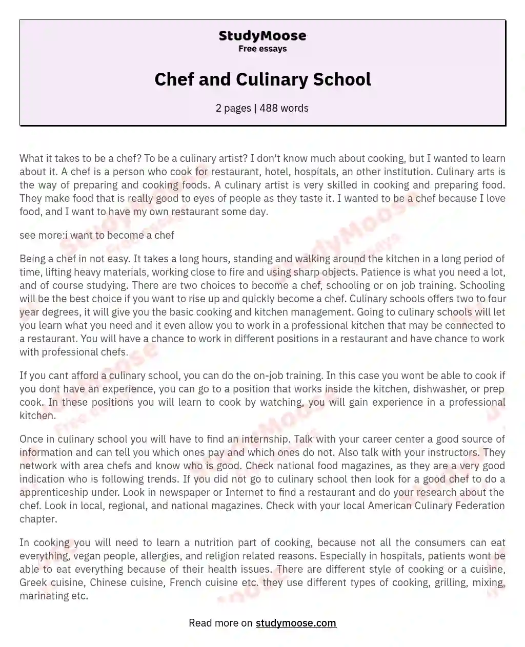 Chef and Culinary School essay