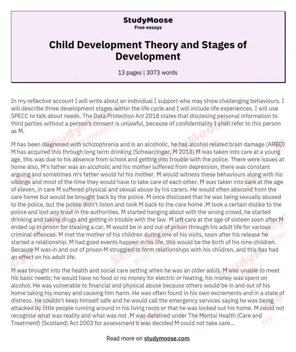 Child Development Theory and Stages of Development essay