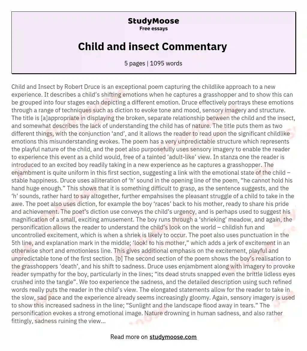 Child and insect Commentary  essay