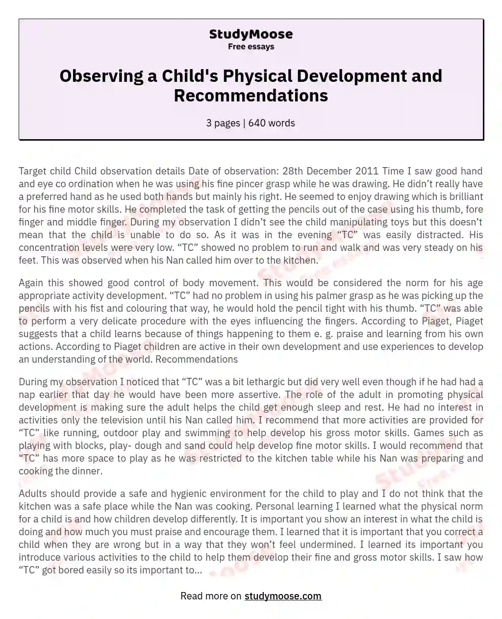 Observing a Child's Physical Development and Recommendations essay