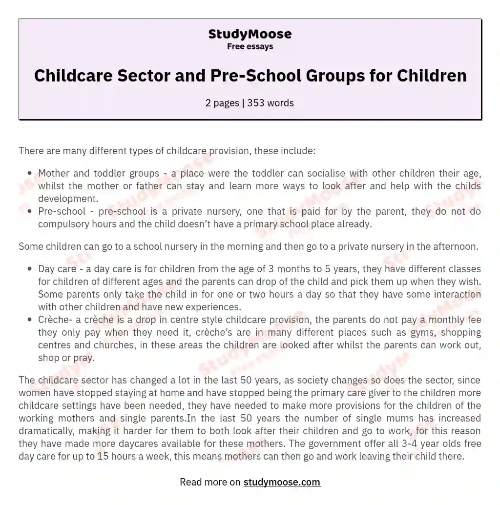 Childcare Sector and Pre-School Groups for Children essay