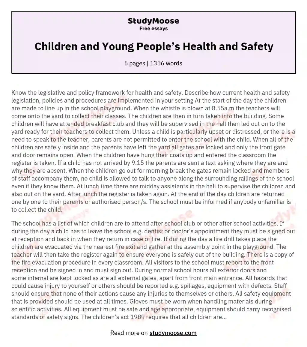 Children and Young People’s Health and Safety essay