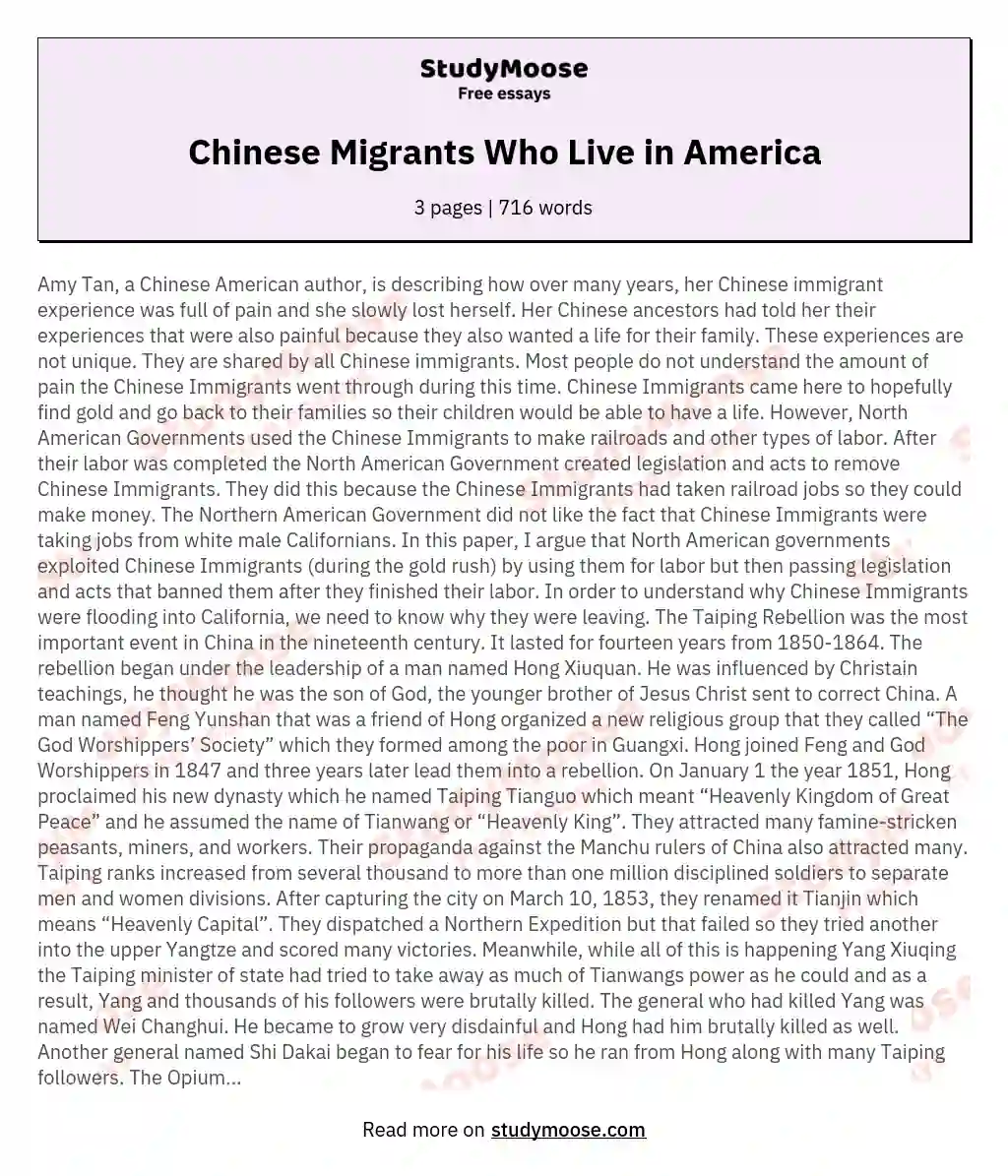 Chinese Migrants Who Live in America essay