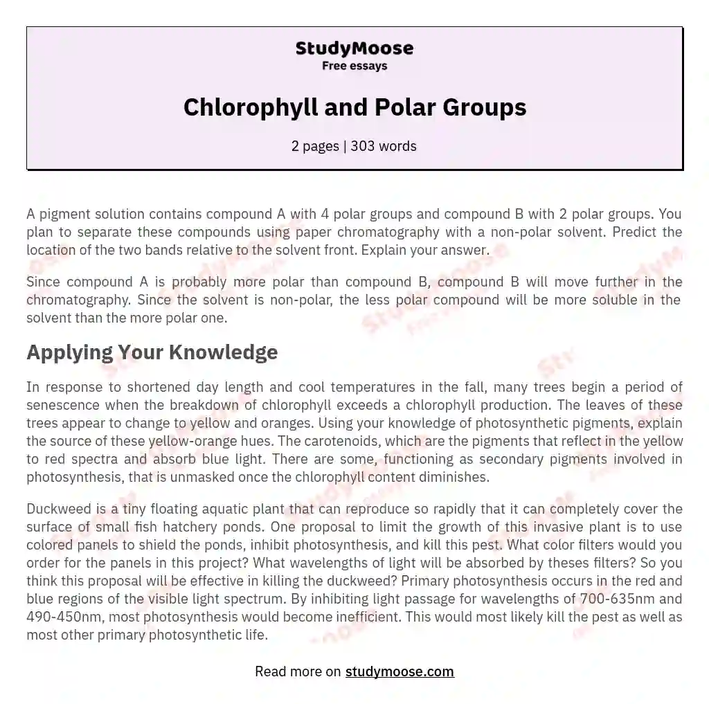 Chlorophyll and Polar Groups essay