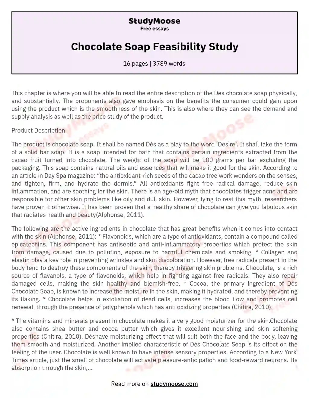 Chocolate Soap Feasibility Study essay