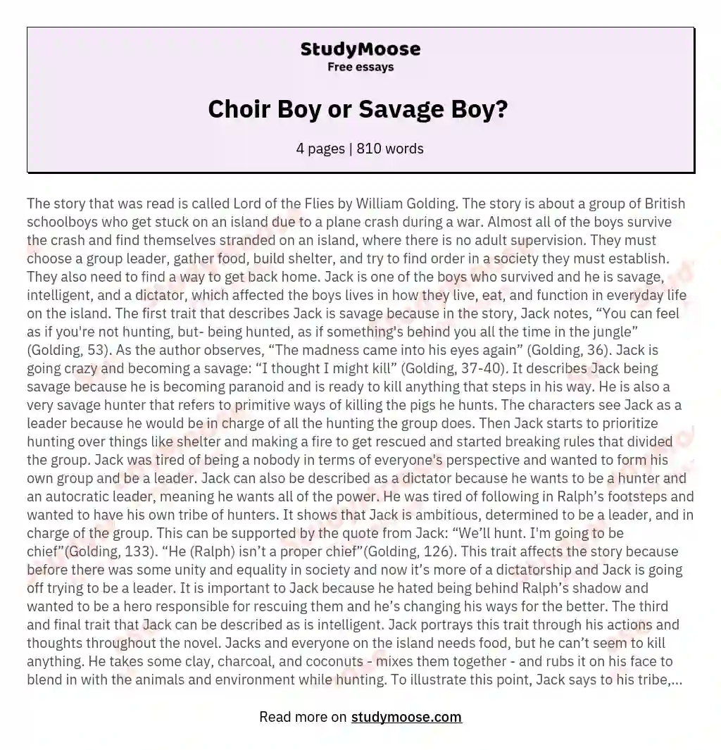 Choir Boy or Savage Boy?  essay