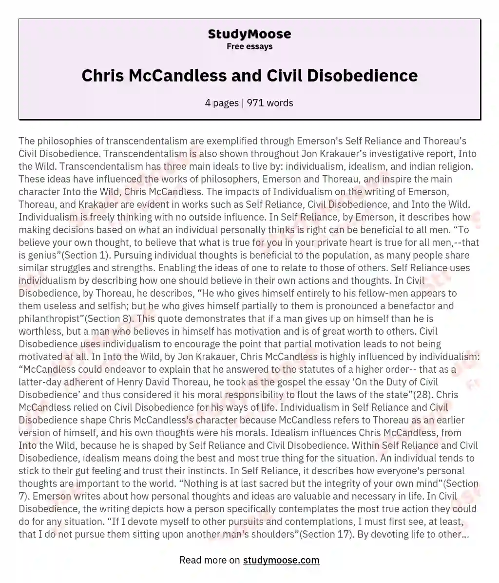 Chris McCandless and Civil Disobedience