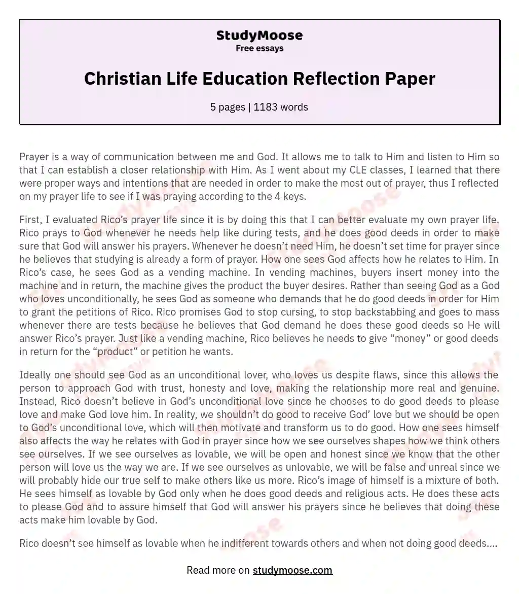 Christian Life Education Reflection Paper essay