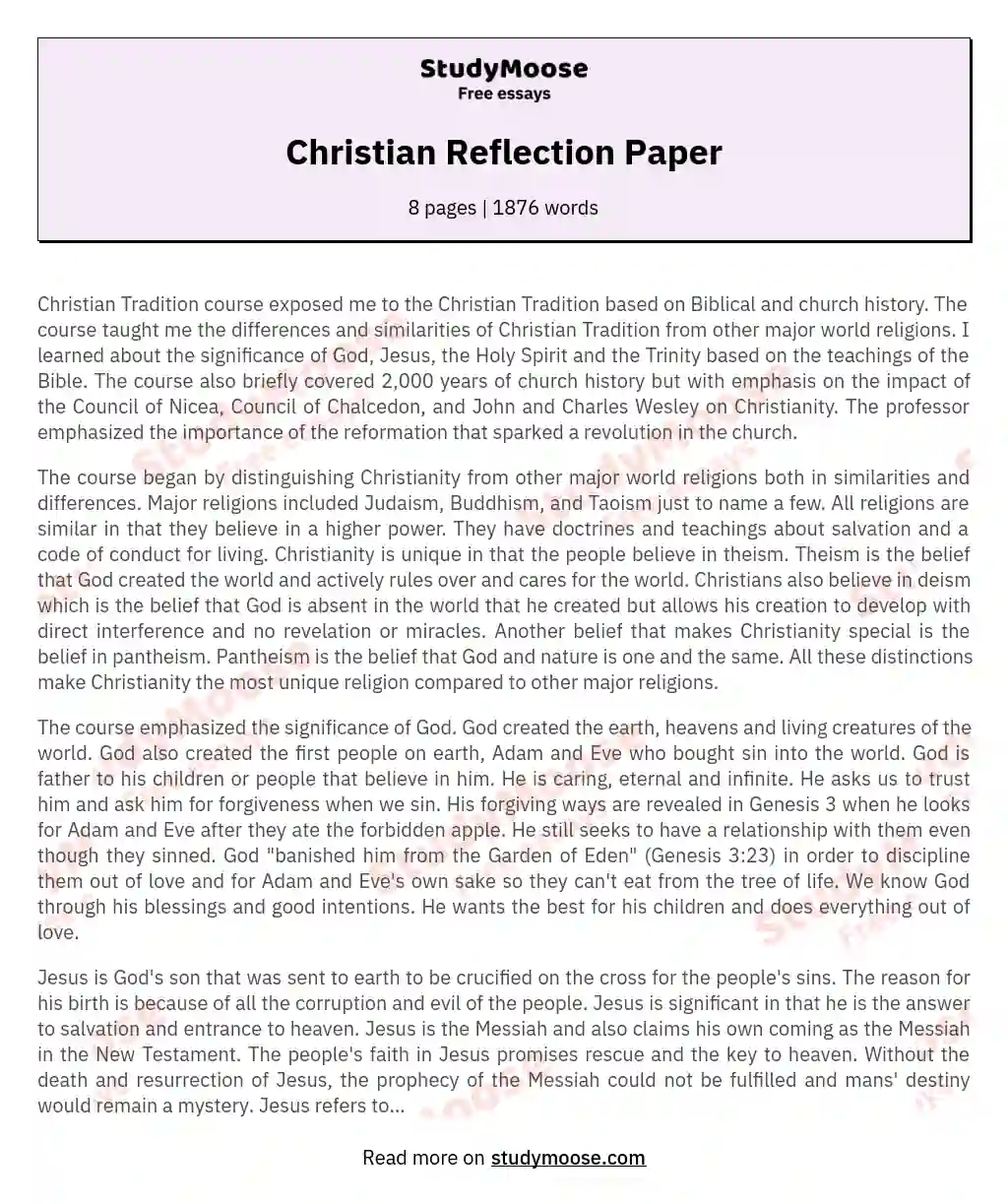 Christian Reflection Paper essay