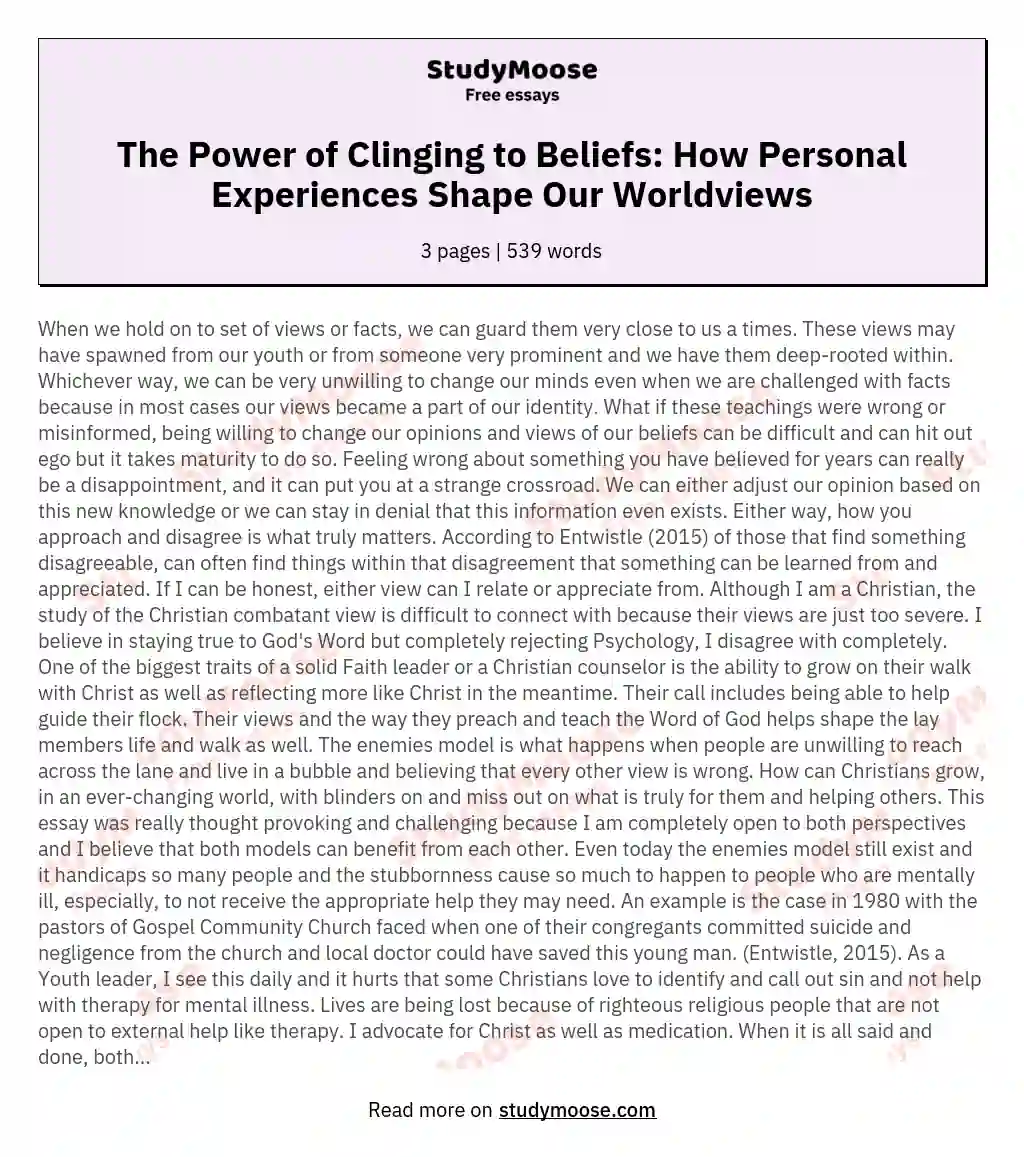 The Power of Clinging to Beliefs: How Personal Experiences Shape Our Worldviews essay
