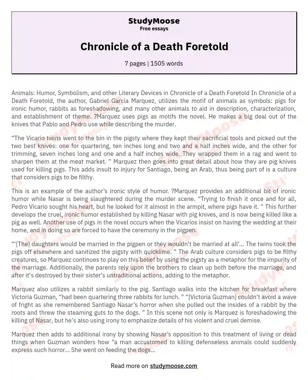 chronicle of a death foretold essay
