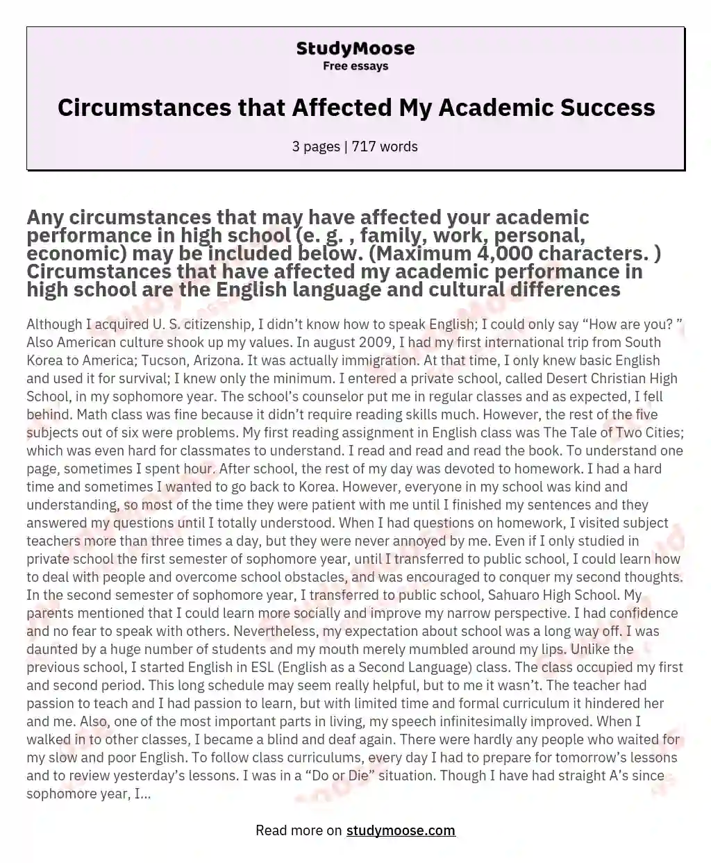 Circumstances that Affected My Academic Success essay