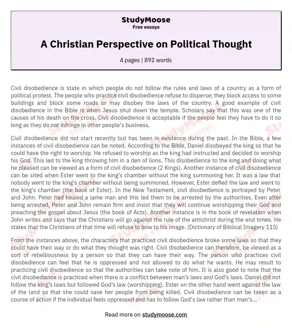 A Christian Perspective on Political Thought essay
