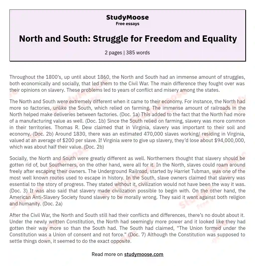 North and South: Struggle for Freedom and Equality essay