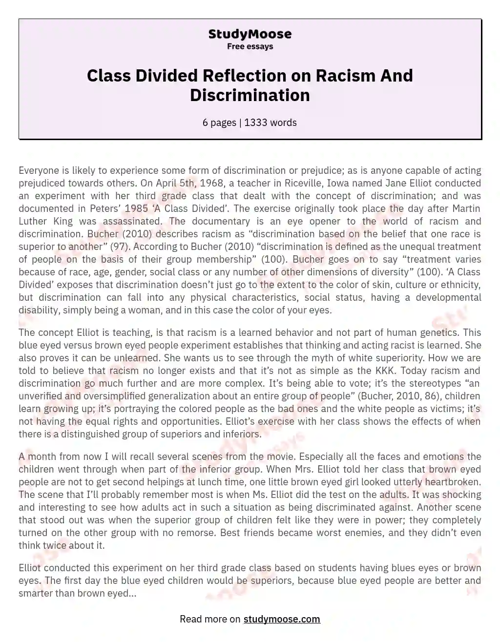 Class Divided Reflection on Racism And Discrimination essay