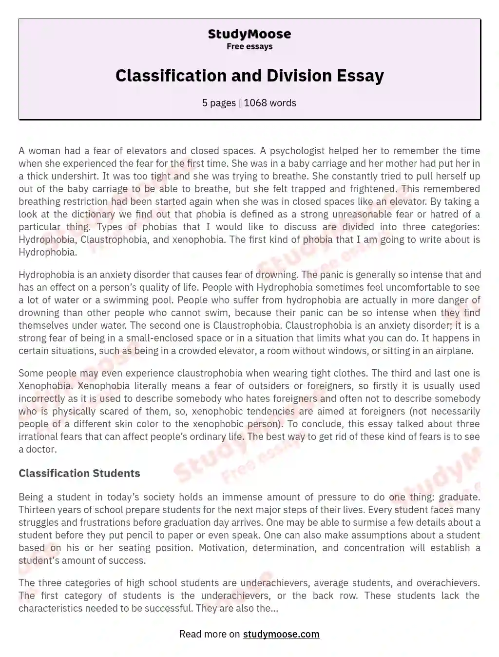 Classification and Division Essay essay