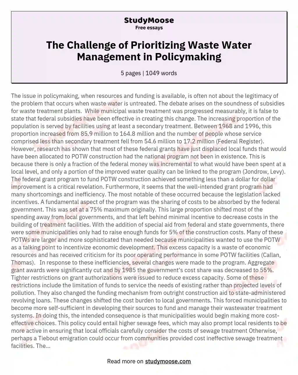 The Challenge of Prioritizing Waste Water Management in Policymaking essay