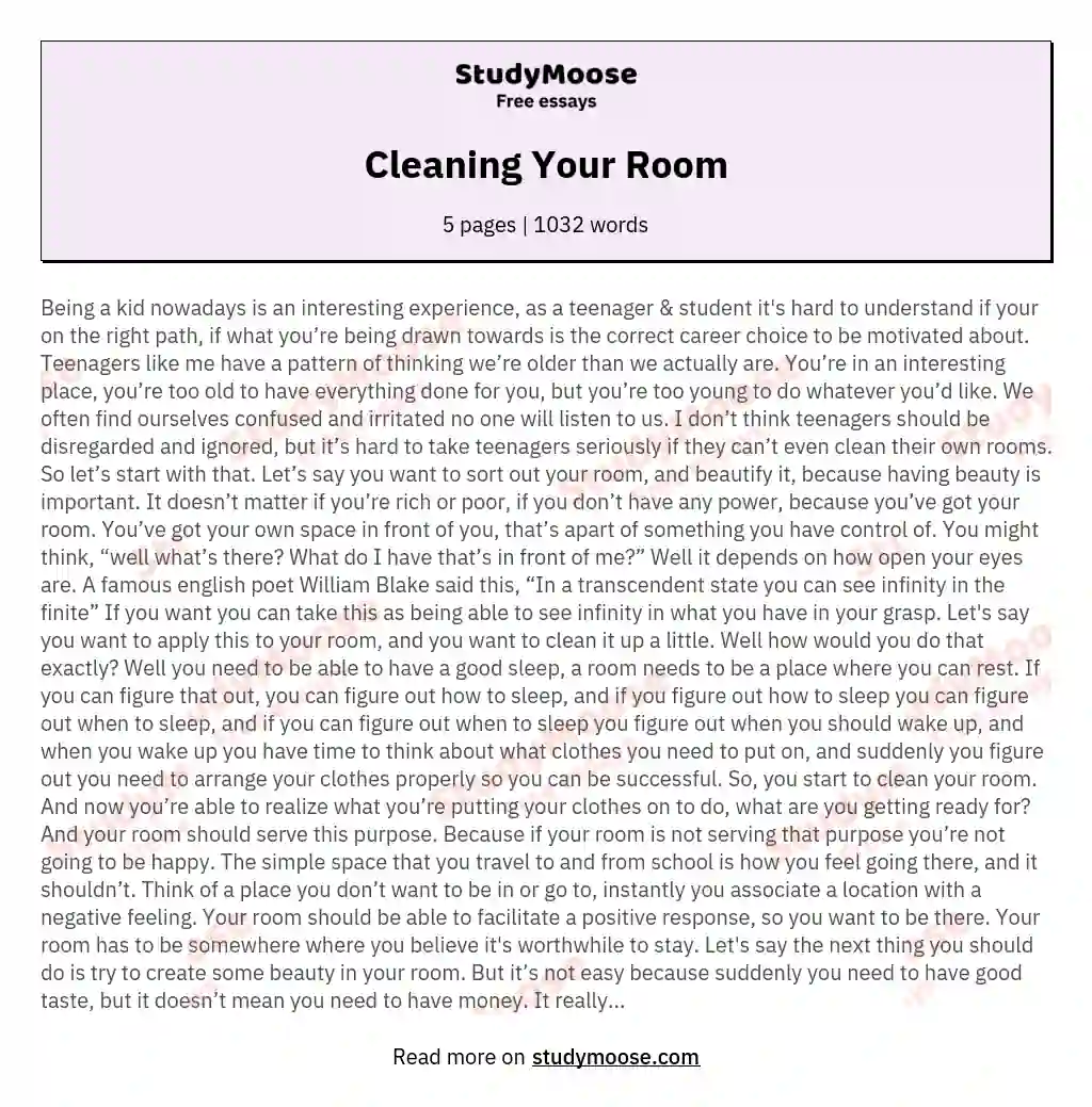essay on house cleaning