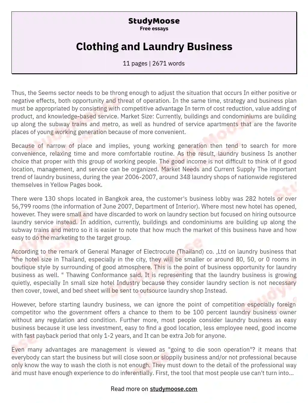 Clothing and Laundry Business essay