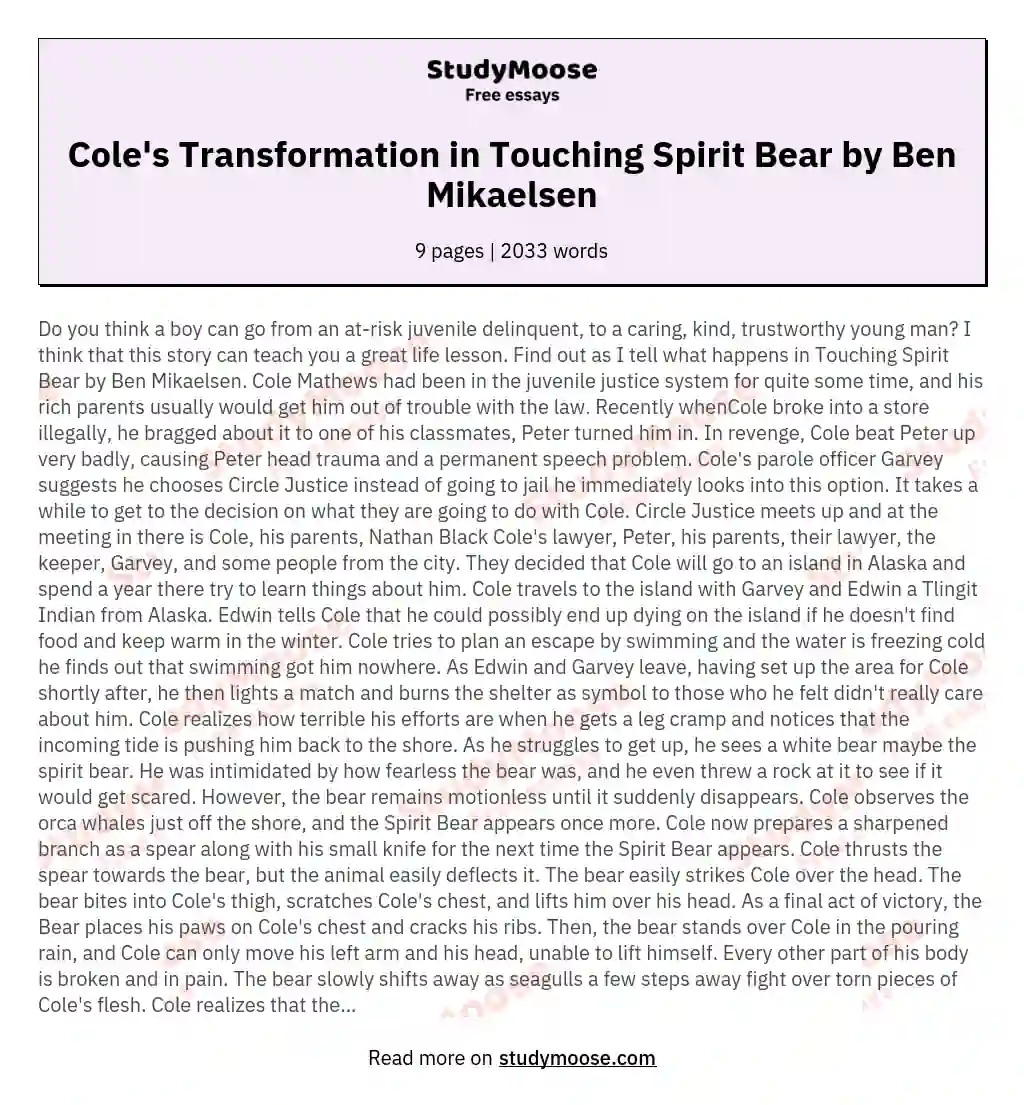Cole's Transformation in Touching Spirit Bear by Ben Mikaelsen essay
