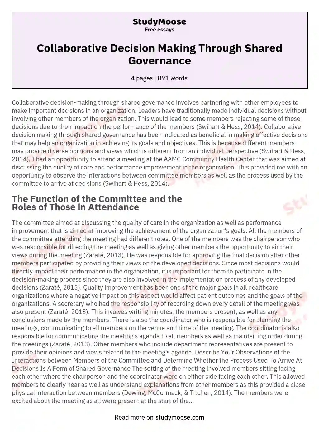 Collaborative Decision Making Through Shared Governance essay