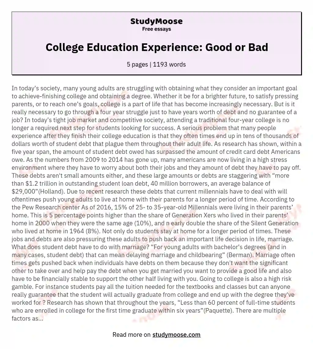 College Education Experience: Good or Bad essay