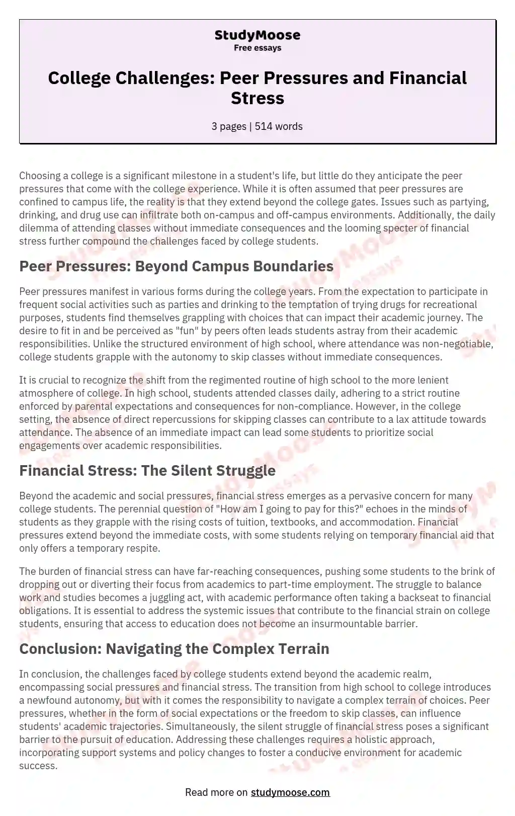 College Challenges: Peer Pressures and Financial Stress essay