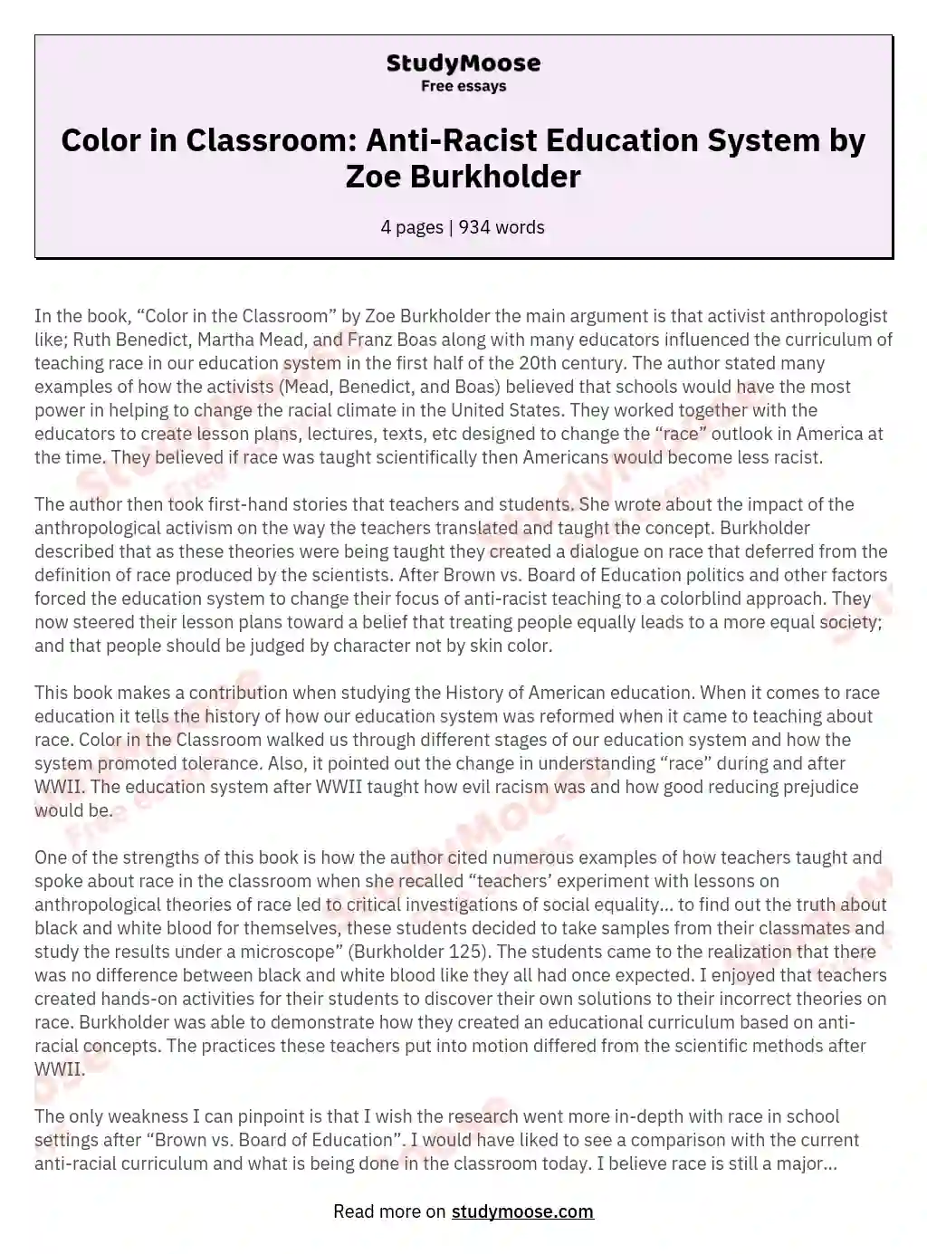 Color in Classroom: Anti-Racist Education System by Zoe Burkholder essay