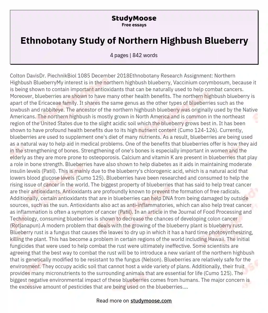 Ethnobotany Study of Northern Highbush Blueberry essay