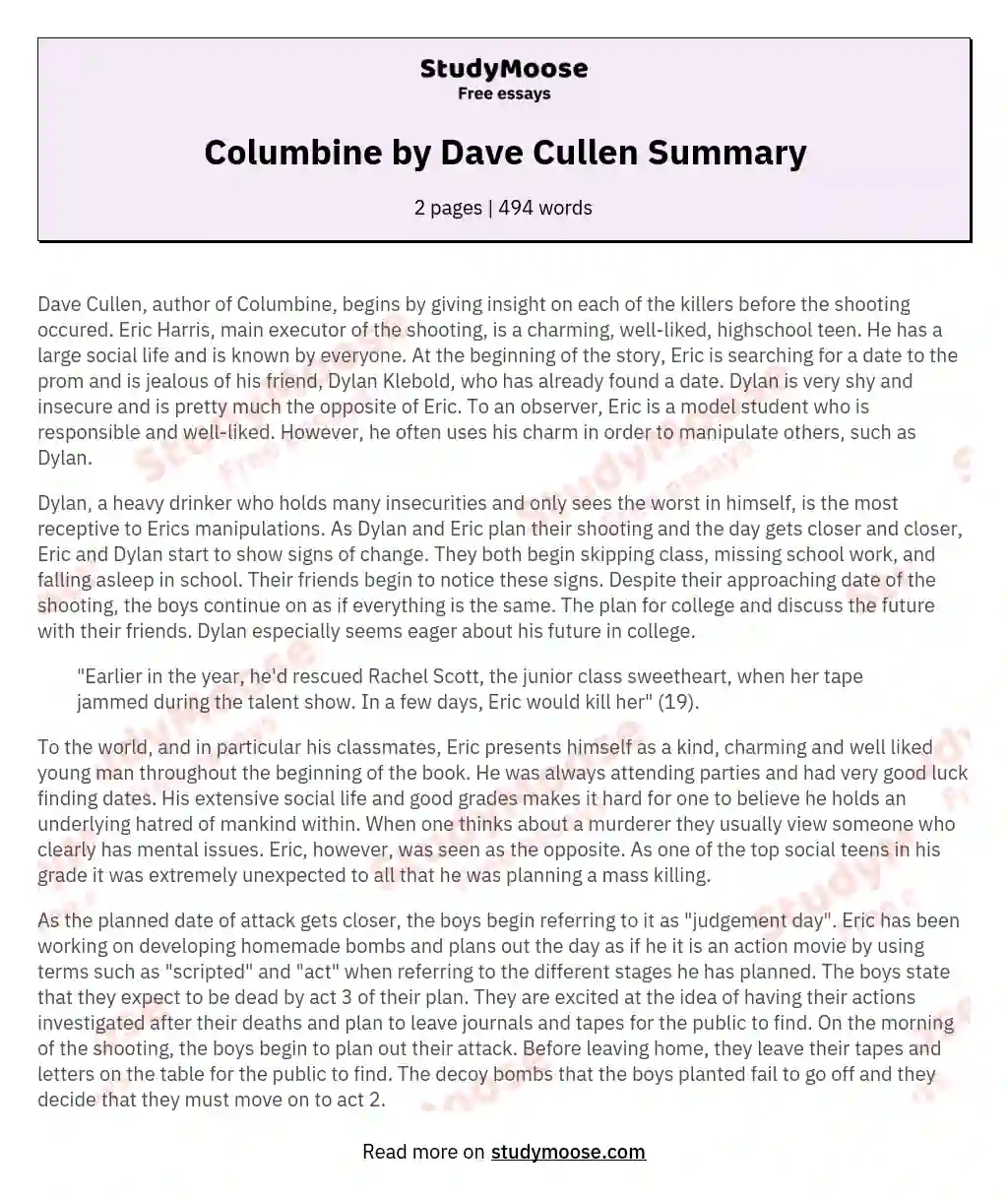 Columbine by Dave Cullen Summary essay