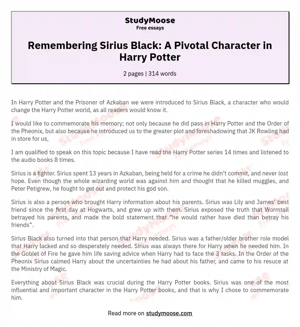 Remembering Sirius Black: A Pivotal Character in Harry Potter essay