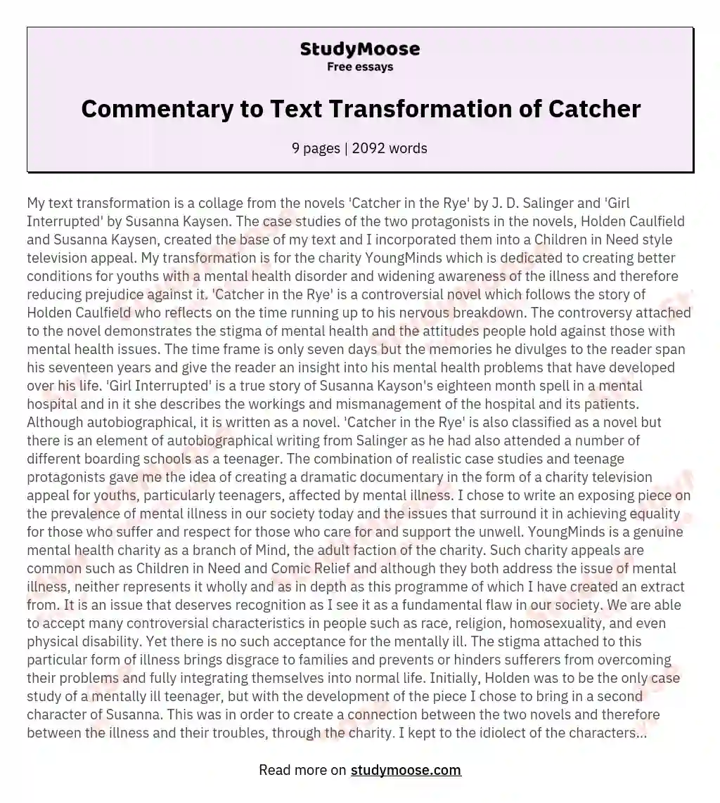 Commentary to Text Transformation of Catcher essay
