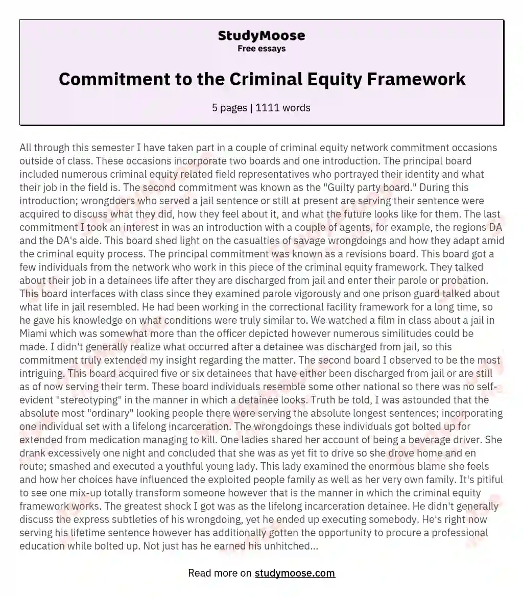 Commitment to the Criminal Equity Framework essay