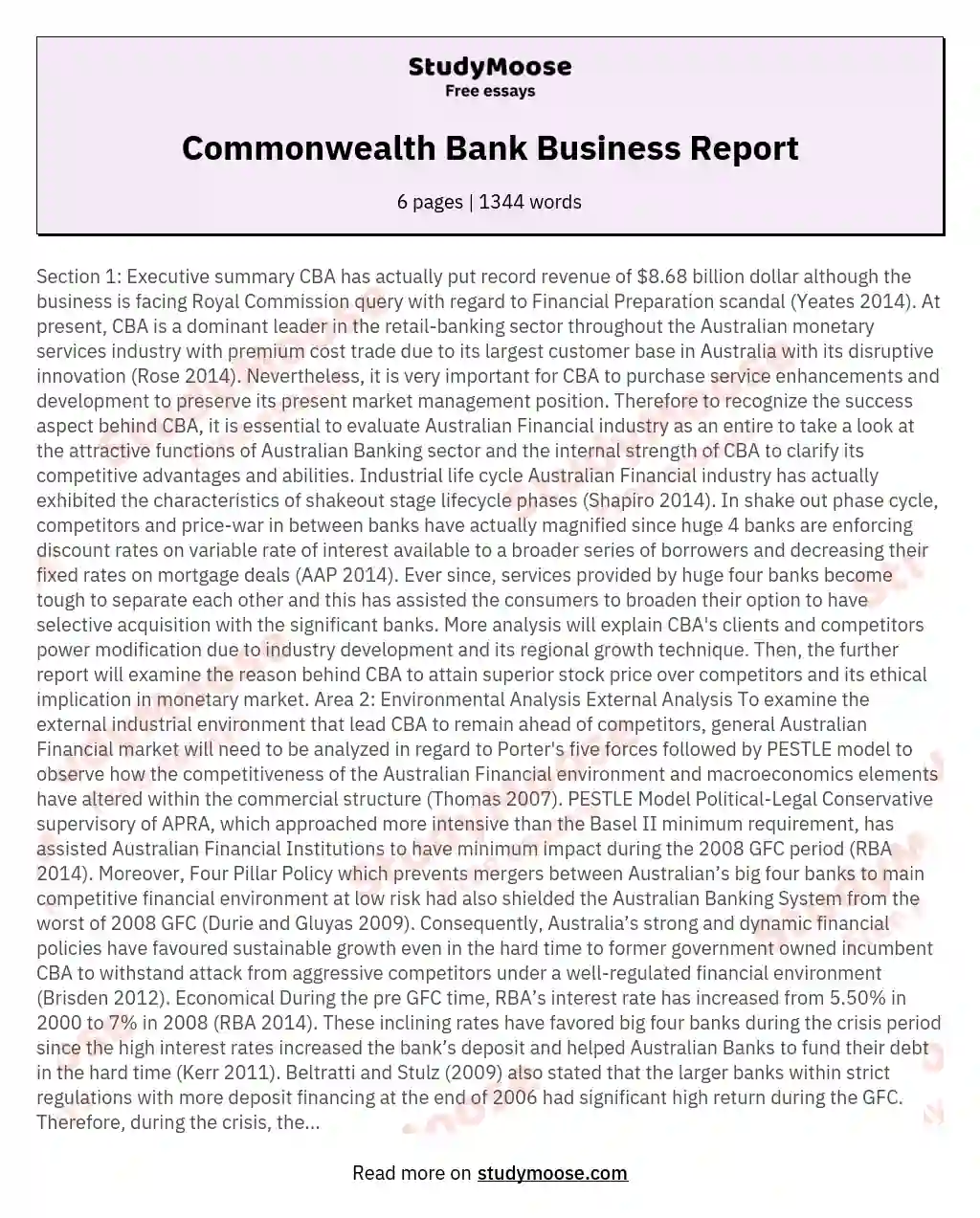 Commonwealth Bank Business Report essay