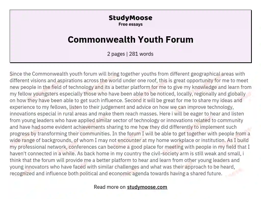 Commonwealth Youth Forum essay