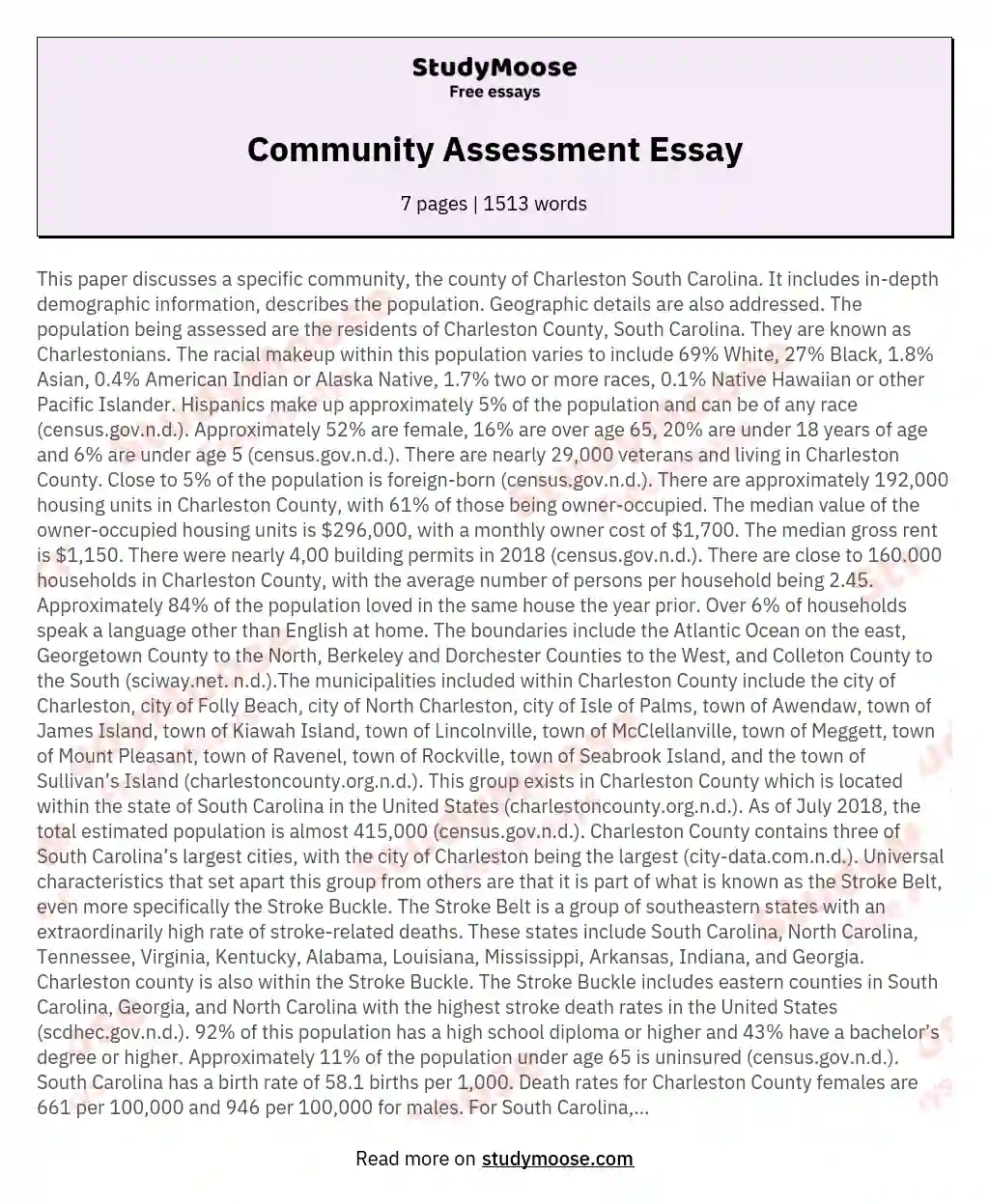 Community Assessment Essay essay