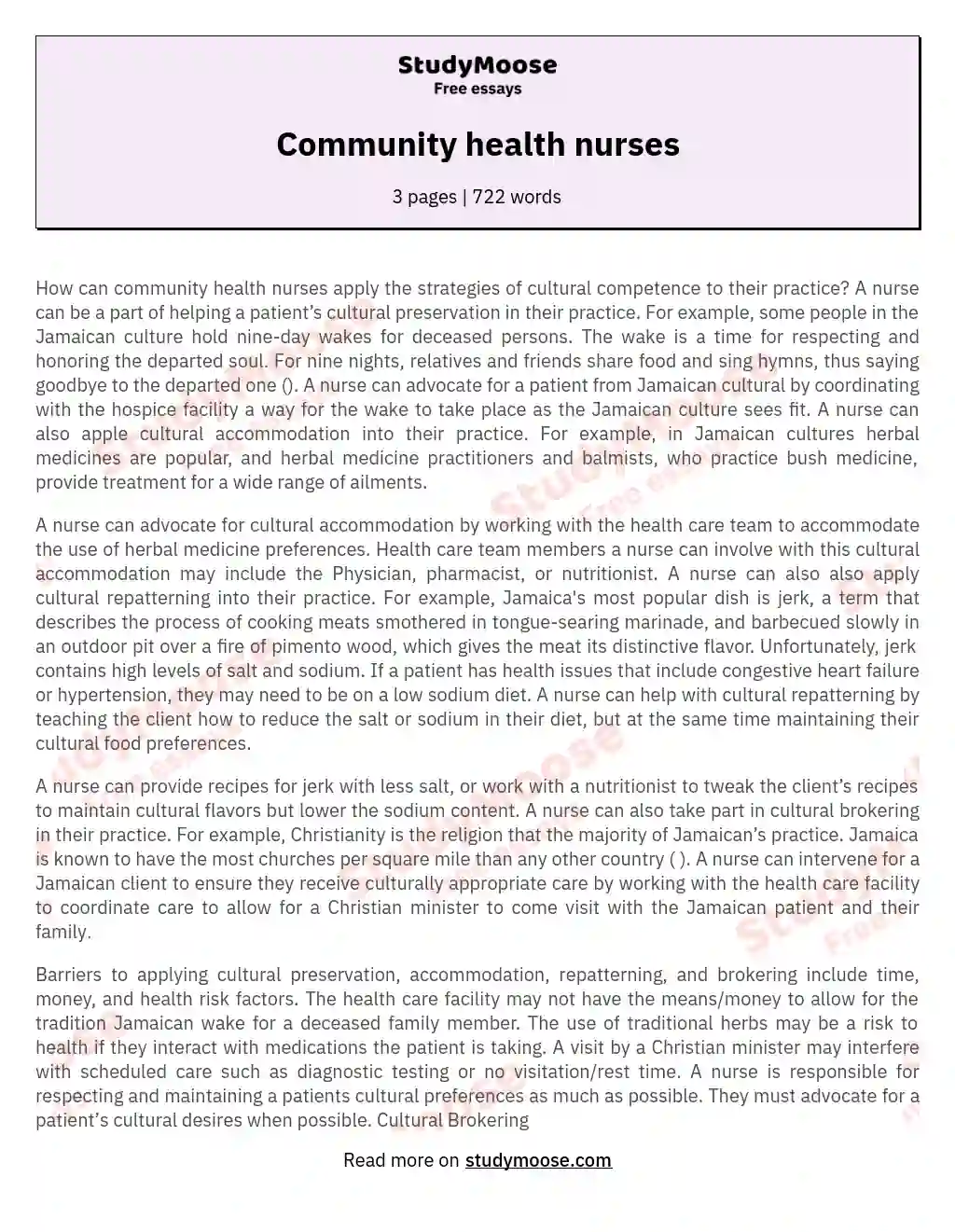 Community health nurses essay